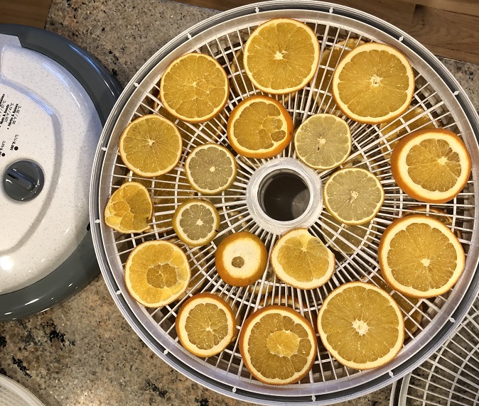 Oranges and Dehydrator for the dried orange garlands