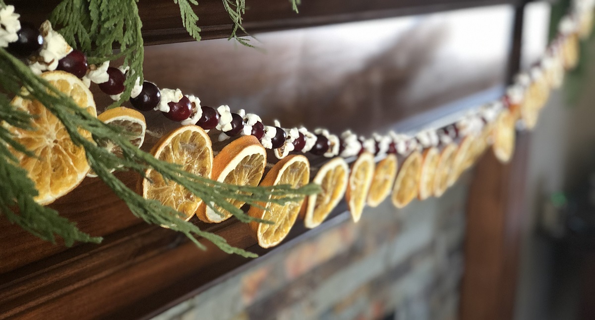 How to Make Dried Orange and Cranberry Garland {Tutorial}