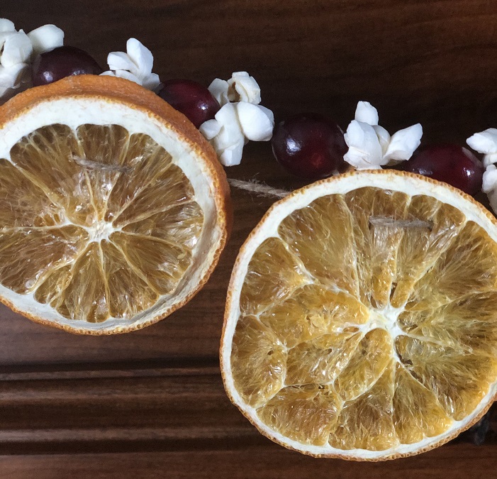 DIY Dried Orange and Cranberry Garland