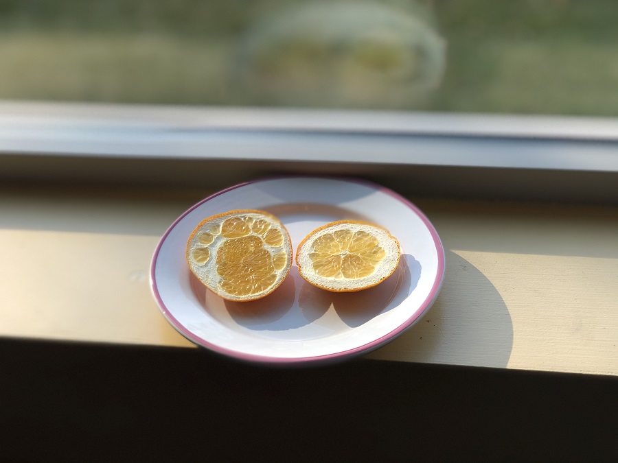 Orange ends drying in window