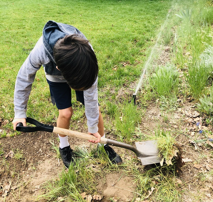 Digging to start a garden
