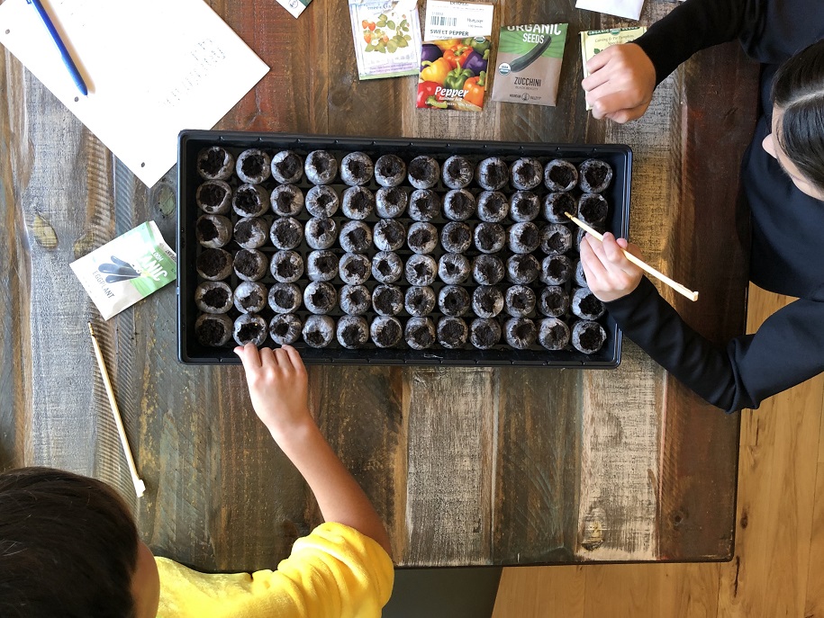 Children planting seeds indoors