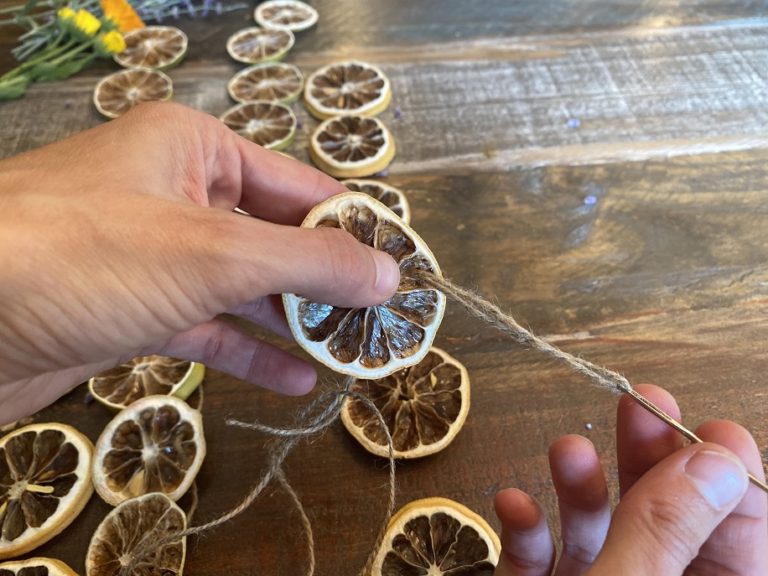 DIY Dried LemonLime Garland for Spring and Summer Simple Eco Mama