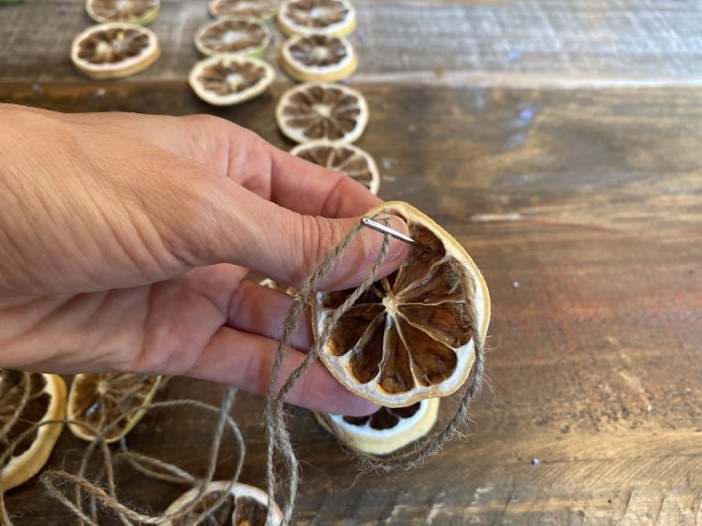 DIY Dried LemonLime Garland for Spring and Summer Simple Eco Mama
