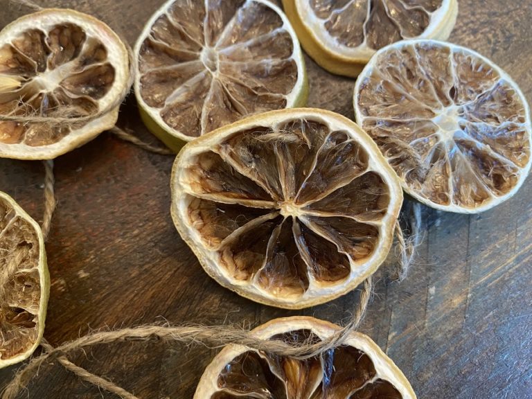 DIY Dried LemonLime Garland for Spring and Summer Simple Eco Mama