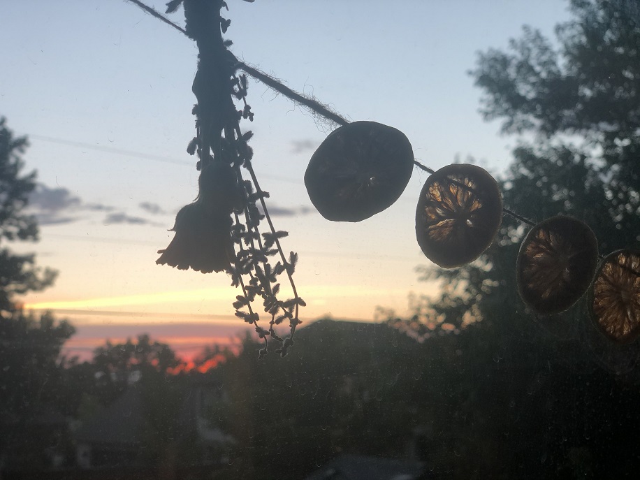 Hanging DIY Dried Lemon-Lime Garland in the setting sun