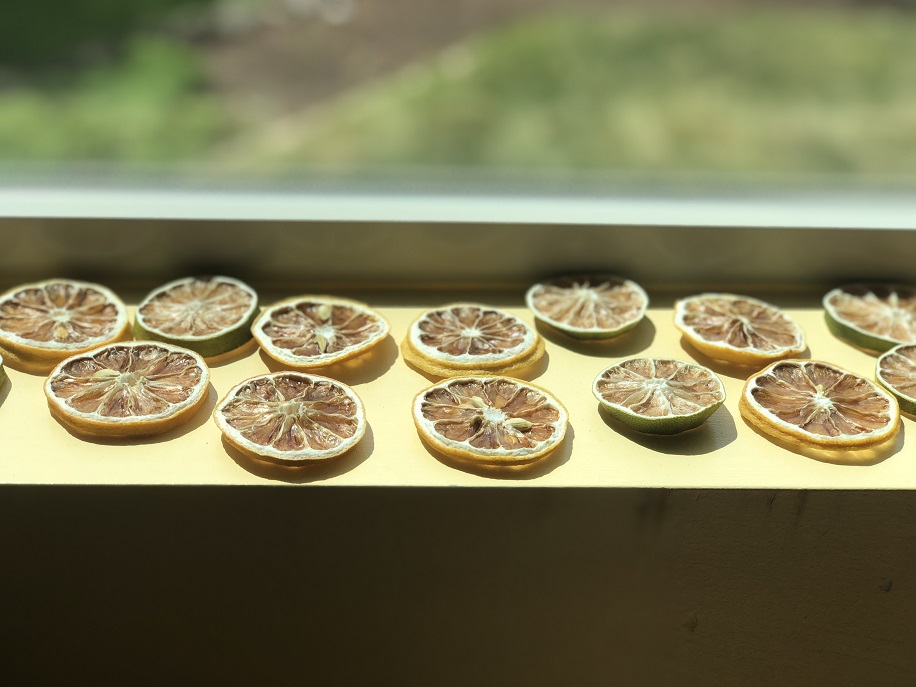 Lemon and lime slices drying in a windowsill