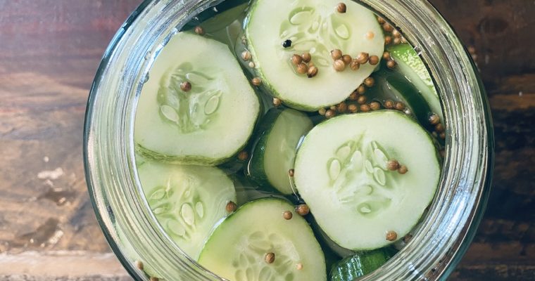Best Fermented Dill Pickles – Simple Summer Garden Recipe