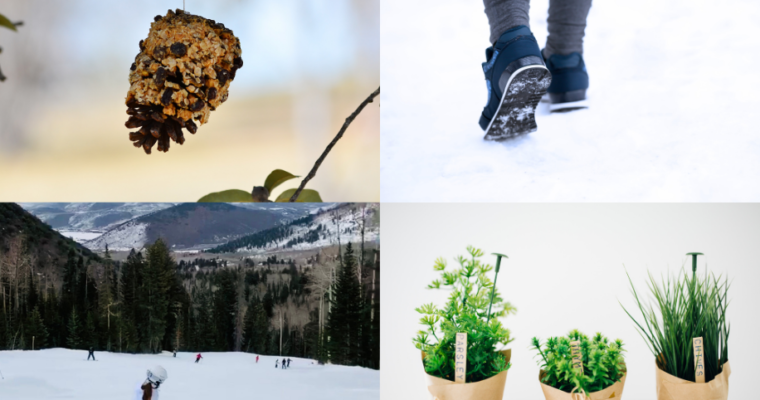 Ways to connect with nature during the winter, grow plants, make bird feeders, walk, snowboard