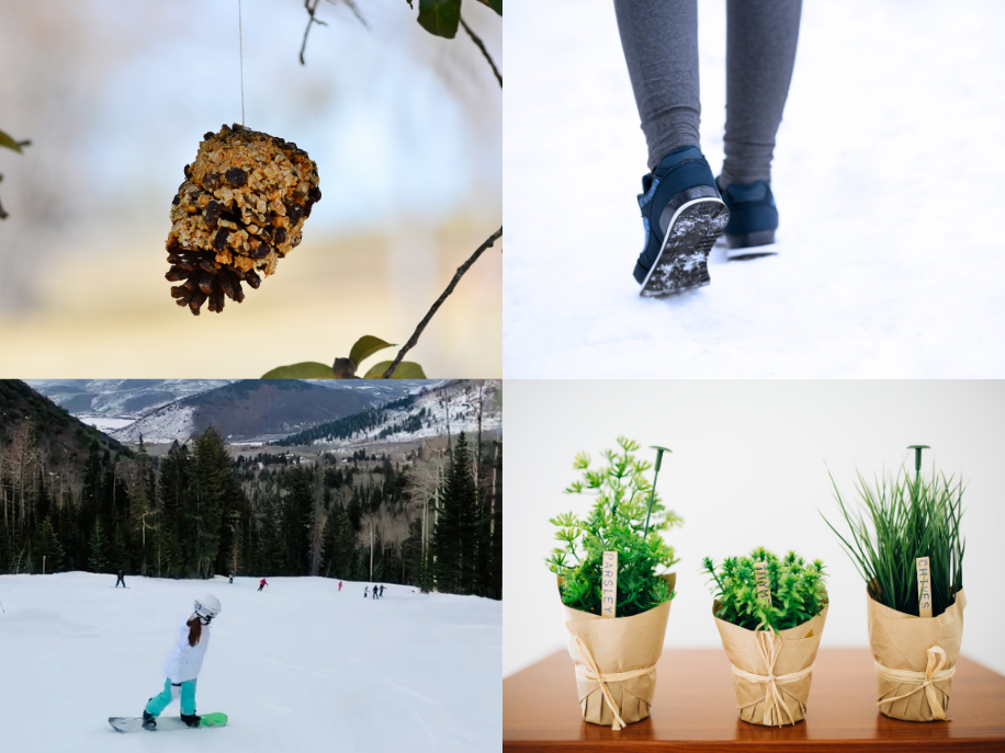 11 Ways to Connect With Nature During the Winter