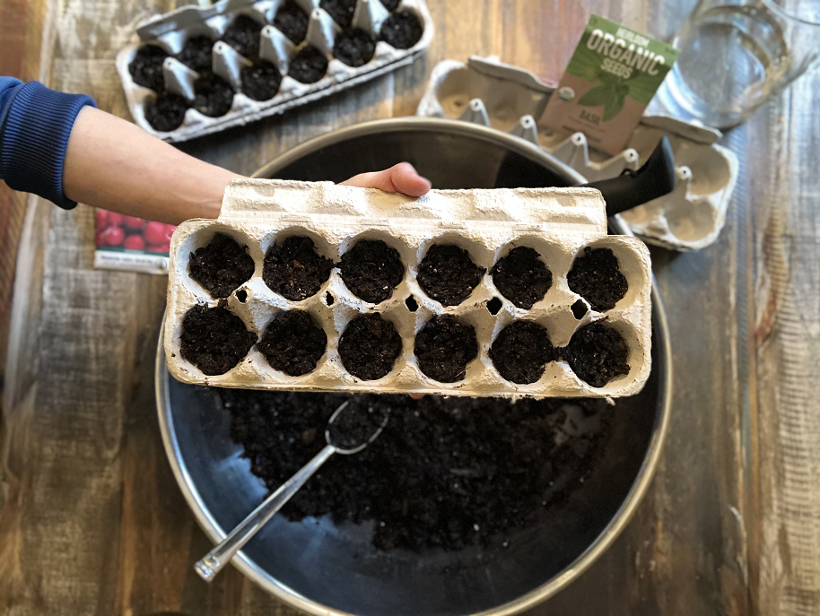 Egg carton filled with soil