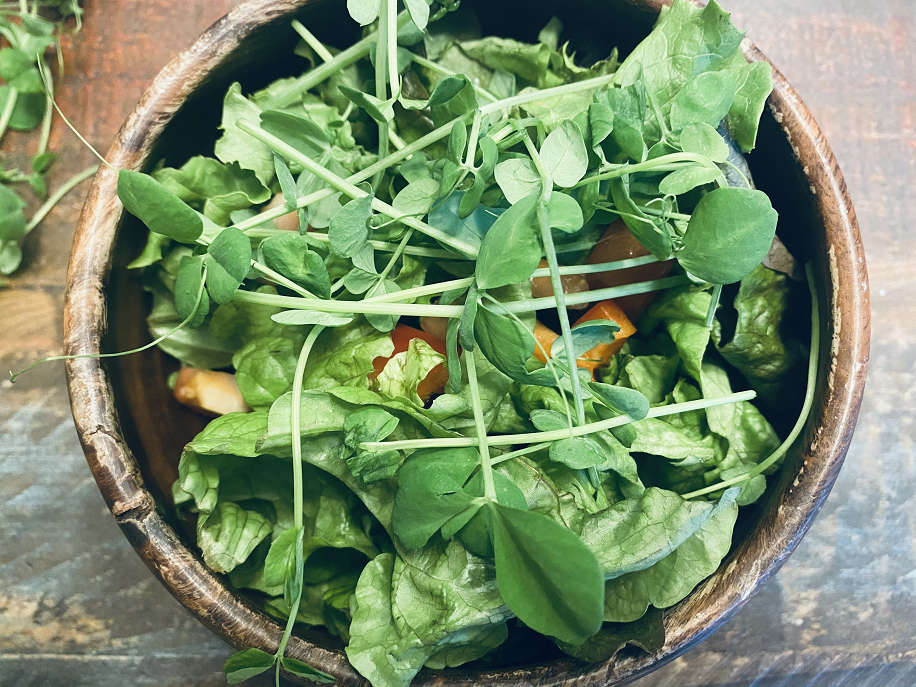 Green salad garnished with microgreens